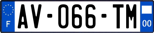 AV-066-TM