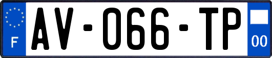 AV-066-TP