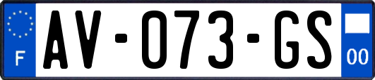 AV-073-GS