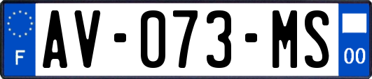 AV-073-MS