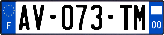 AV-073-TM