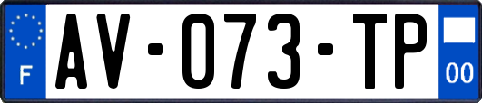 AV-073-TP