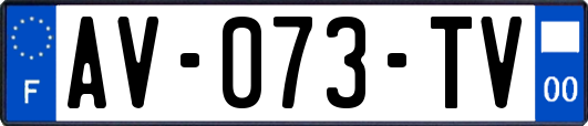 AV-073-TV