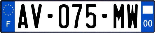 AV-075-MW