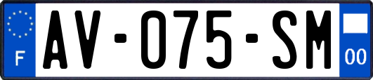 AV-075-SM