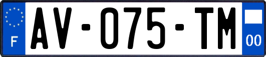 AV-075-TM