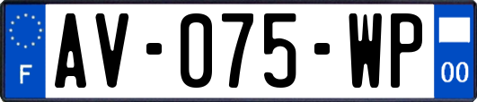 AV-075-WP