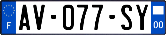 AV-077-SY