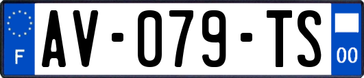AV-079-TS