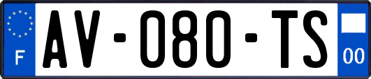 AV-080-TS