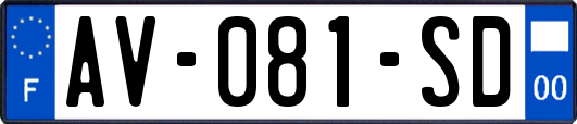 AV-081-SD