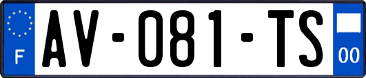 AV-081-TS