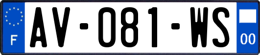 AV-081-WS