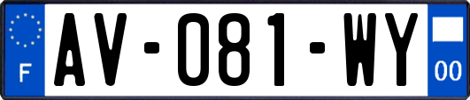 AV-081-WY