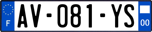 AV-081-YS