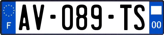 AV-089-TS
