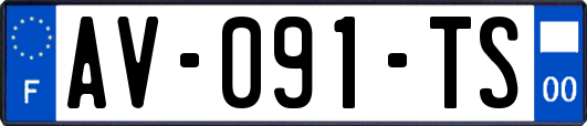 AV-091-TS