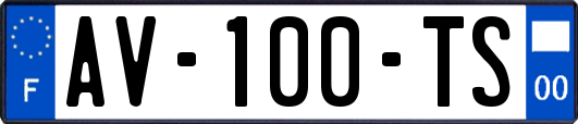 AV-100-TS