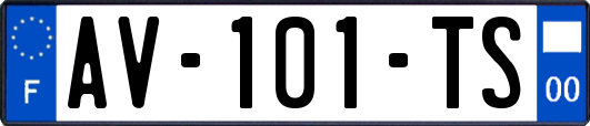 AV-101-TS