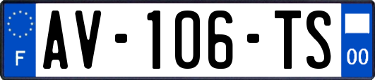 AV-106-TS