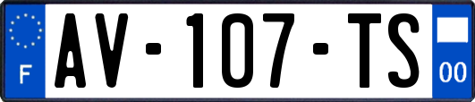 AV-107-TS