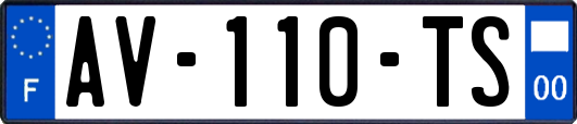AV-110-TS
