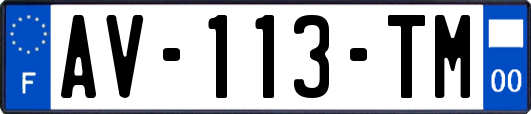 AV-113-TM