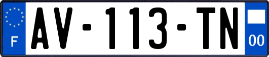 AV-113-TN