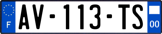 AV-113-TS