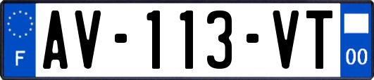 AV-113-VT