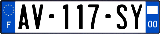 AV-117-SY