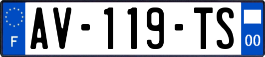 AV-119-TS