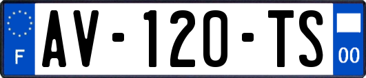 AV-120-TS