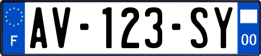 AV-123-SY