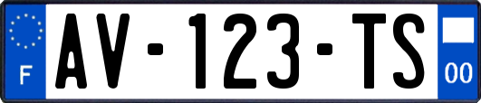 AV-123-TS