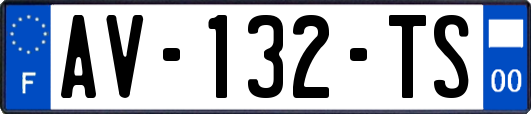 AV-132-TS