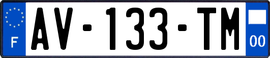 AV-133-TM