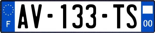 AV-133-TS