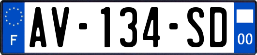 AV-134-SD