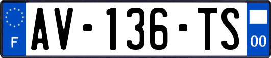 AV-136-TS