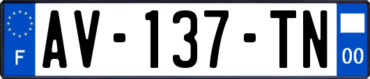 AV-137-TN