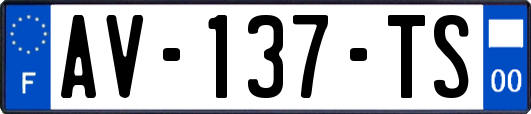 AV-137-TS