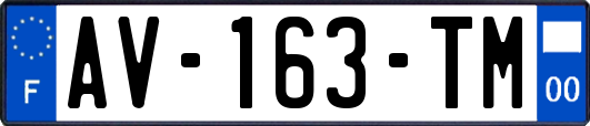 AV-163-TM