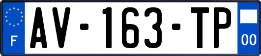 AV-163-TP