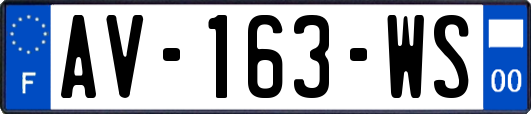 AV-163-WS
