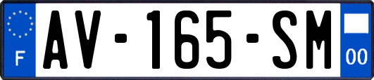 AV-165-SM