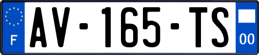 AV-165-TS