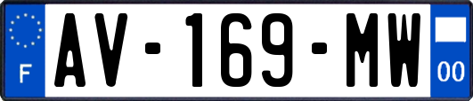 AV-169-MW