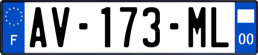 AV-173-ML