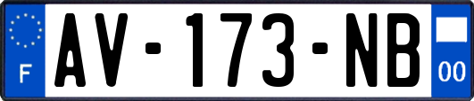 AV-173-NB